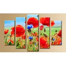Модульная картина Arthata 5m-518 105x60