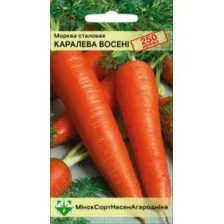 Морковь Королева осени столовая драже 250шт