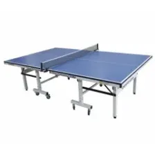Теннисный стол CENTRAL SPORT Indoor Professional 25MM (blue)