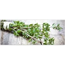 Картина на стекле Orlix Зелень пряная GL-01056 30x80