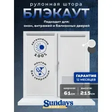 Рулонная штора Sundays Home LM 167-01 61х215 (белый)