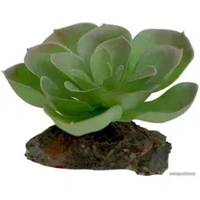 Искусственное растение Lucky Reptile Echeveria IF-83 (зеленый/красный)