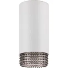 Спот ЭРА OL40 WH/GR Б0058478