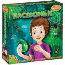 Набор для опытов Bondibon Исторические раскопки. Насекомые / ВВ3175