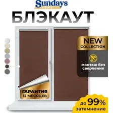 Рулонная штора Sundays Home LM 168-09 64x215 (коричневый)