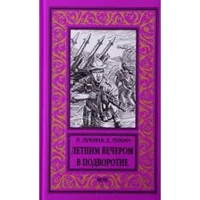 Художественная книга Вече Летним вечером в подворотне (Лукина Л., Лукин Е.)