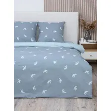 2-спальный комплект постельного белья Василиса 2сп Delight 70x70 20265/1