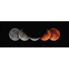Картина Stamprint Цвета затмений SC005 (30x80)