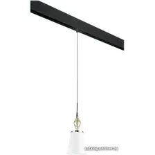 Подвесная люстра Lightstar Escica PRO806010