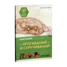 Анатомия прогибаний и скручиваний