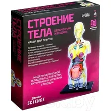 Научная игра Эврики Строение тела. Беременная женщина / 9405614