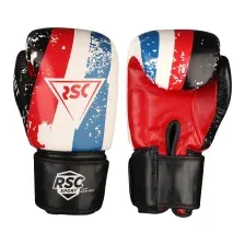 Перчатки для бокса RSC Sport Hit PU SB-01-146 (12 oz, белый/красный/синий)