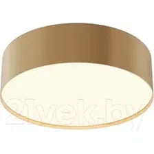 Светильник-тарелка Maytoni Technical Zon C032CL-24W3K-RD-MG