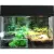 Террариум Lucky Reptile Стартовый комплект для амфибий / SK50BP-B (черный)