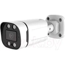 CCTV-камера Longse LS-AHD204/60L