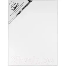 Холст для рисования Малевичъ На подрамнике / 233060 (30x60см, хлопок)
