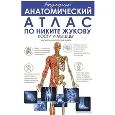 Книга издательства АСТ. Популярный анатомический атлас по Никите Жукову (Жуков Н.Э.)