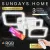 Припотолочная люстра Sundays Home KR-48 6396