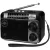 Радиоприемник Ritmix RPR-161