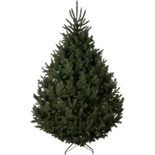Елка GreenTerra Босния (1.8м)