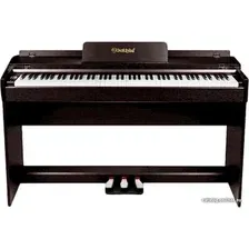 Цифровое пианино Solista DP600R