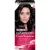 Крем-краска для волос Garnier Color Sensation Роскошный цвет 2.0 (черный бриллиант)