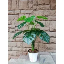 Искусственное растение Forgarden Монстера в белом горшке BN10740