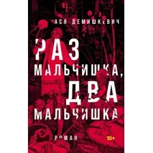 Художественная книга Альпина Раз мальчишка, два мальчишка / 9785002232406 (Демишкевич А.)