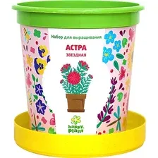 Набор для опытов Happy plant Астра звездная hpn-6
