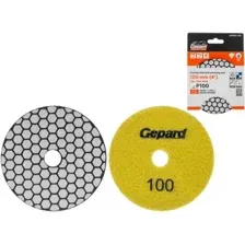 Шлифовальный круг Gepard GP5023-100