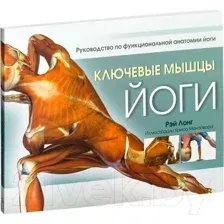 Ключевые мышцы йоги