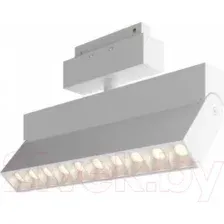 Трековый светильник Maytoni Points TR015-2-20W3K-W