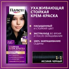 Стойкая крем-краска Палетт Иссиня-черный, С1.