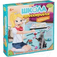 Набор для опытов Bondibon Науки с Буки Школа дрессировки (кошки) ВВ1438
