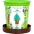 Набор для опытов Happy plant Ель необыкновенная hpn-10
