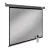 Проекционный экран Cactus SIlverMotoExpert CS-PSSME-280X175-DG