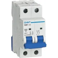 Выключатель автоматический Chint NB1-63 2P 16A 6кА D (DB) (R) 179672