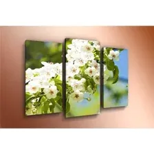 Модульная картина Arthata m-000205 90x60