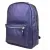 Городской рюкзак Carlo Gattini Premium Albiate 3103-56 (индиго)