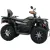 Квадроцикл Motoland Max 300 X Efi (черный)