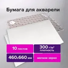 Набор бумаги для рисования BRAUBERG Art Premiere 113232 (10 л)