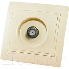 Розетка TDM Таймыр SQ1814-0132 (слоновая кость)