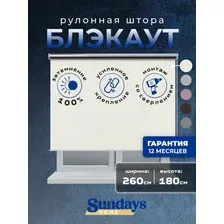 Рулонные шторы Sundays Home LM 168-03 260x180 (молочный)