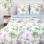 Евро комплект постельного белья Василиса Delight Евро 70x70 9878/1