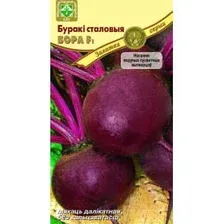 Семена МинскСортСемОвощ Свекла. Боро F1 Эксперт столовая (1.5г)