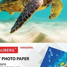 Фотобумага BRAUBERG А4 180 г/м2 50 л глянцевая 363986 (белый)