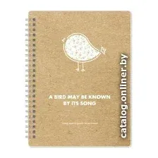 Общая тетрадь InFolio Bird N1200 (96л, клеткакоричневыйбелый)
