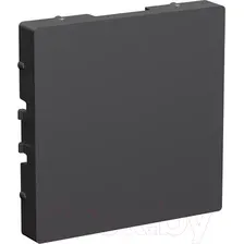 Декоративная заглушка для розетки Systeme (Schneider) Electric AtlasDesign ATN001409