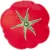 Тарелка десертная Bordallo Pinheiro Tomato 65022235