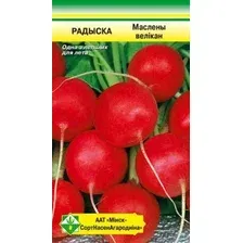Семена МинскСортСемОвощ Редис Масляный великан 3 г